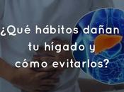 ¿Qué hábitos dañan hígado cómo evitarlos?