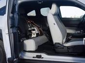 transportín rígido; opción segura para perro caso accidente coche