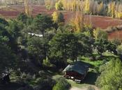 ‘Otoño Rojo’ Serranía; Cañamares consolida como destino fotográfico temporada