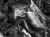 Arima estrenan daga amor