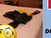 Hotel ibis horas: opciones beneficios