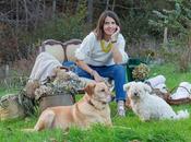 Konalas: regreso comienzo nuevo)