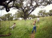 Traditional Dream Factory supera millones euros lidera economía regenerativa Europa