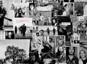 Waves Pictures Sure steady (2025)