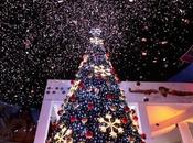 Encendido Árbol Navideño fortalece unión comunitaria Unidad Administrativa Municipal