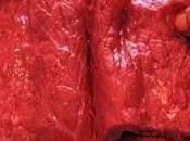Consumo carne roja podría elevar mortalidad