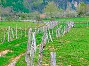 Límites, ¿represión protección?