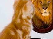 Actitud Marca Diferencia
