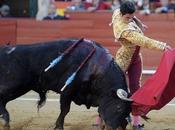 Panama prohibe corridas toros