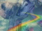 ¿Salva merece mismo trato?