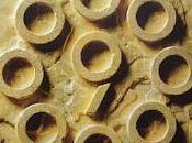Nine circles nine