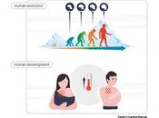 ¿Porqué abrazos cálidos hacen sentir bien?