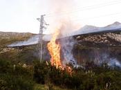 fuego arrasado 353.307,1 hectáreas España 2025, siete veces pasado