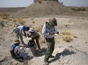 Nuevos hallazgos paleontológicos