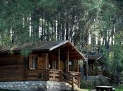 Cabañas Llano Conejos lanza bonos regalo; experiencia rural para acertar seguro