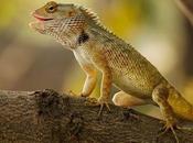 Hotel jardin reina Sevilla