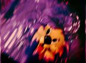 Reseña: Souvenir Sueño Púrpura