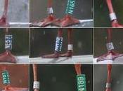 Concentración gaviotas reidoras anilladas Diagonal