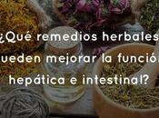 ¿Qué remedios herbales pueden mejorar función hepática intestinal?