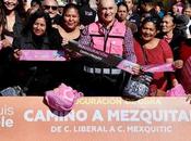 Obra municipal mejora condiciones urbanas Rosedal Limones