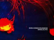 Singlelito Non-Consciousness (2025)