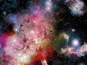 Guttercats Rise fall last civilization (2025)