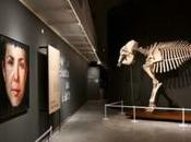 percepción tiempo: viaje entre ciencia humanidad Museo Ciencias Naturales Barcelona