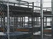 descarada crueldad régimen trump. especial sábado, diciembre 2025