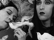 Museo Nacional Bellas Artes tendrá Retrospectiva Desbocadas. Yeguas Apocalipsis enero abril