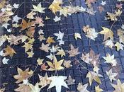 Bienvenido Otoño