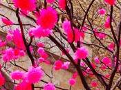 Primavera