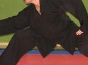 Kungfu interno wudang