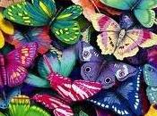 Mariposas multicolores