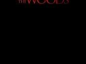 Cabin Woods nuevo poster