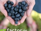 Cuida corazón estos alimentos